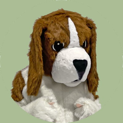 Digger Phelps, Beagle